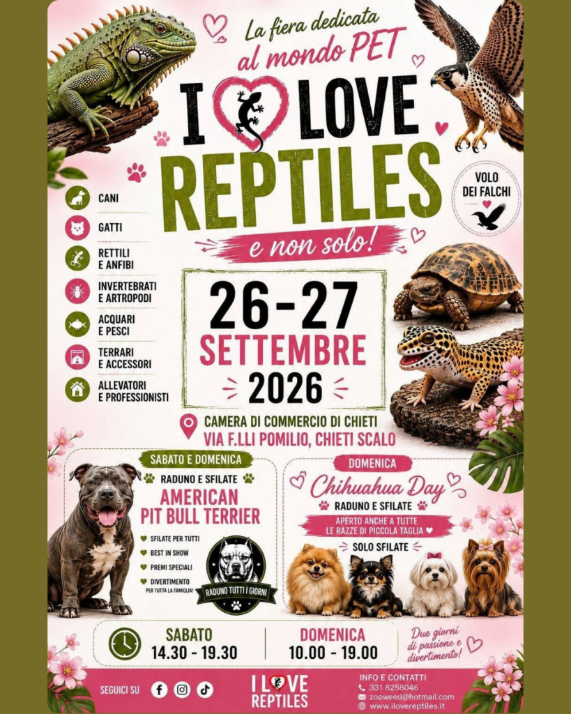evento chieti camera di commercio i love reptiles 2026 sagre e fiere chieti domenica